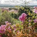 Chicca Di Francesca- Santa Teresa 3*