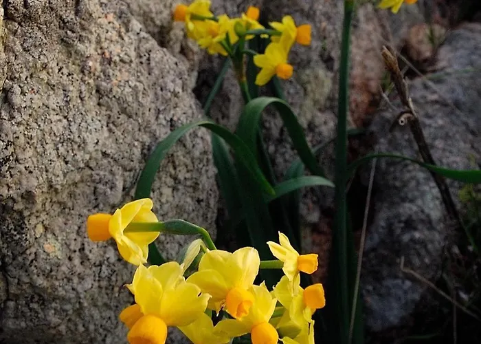 Chicca Di Francesca- Santa Teresa