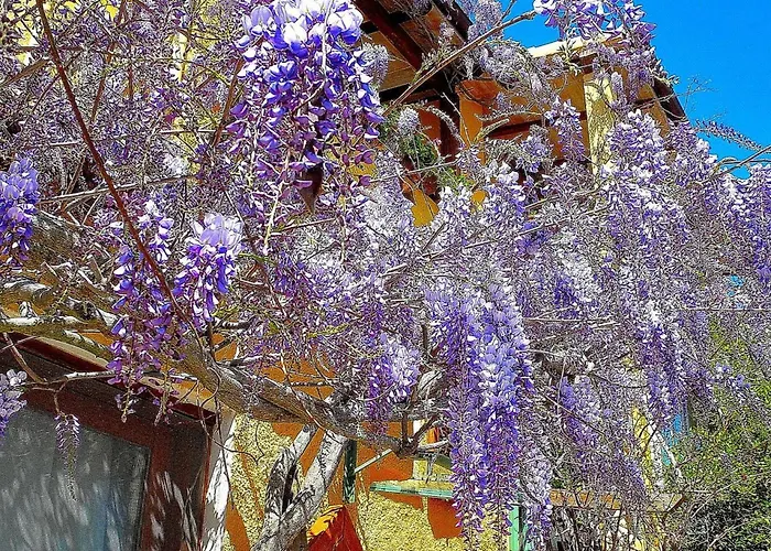 Chicca Di Francesca- Santa Teresa Konukevi Santa Teresa Gallura