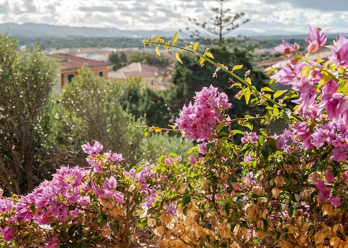 Chicca Di Francesca- Santa Teresa Konukevi 3*